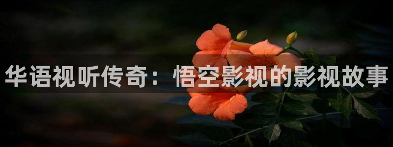 黑螞蟻影視電視劇免費大全